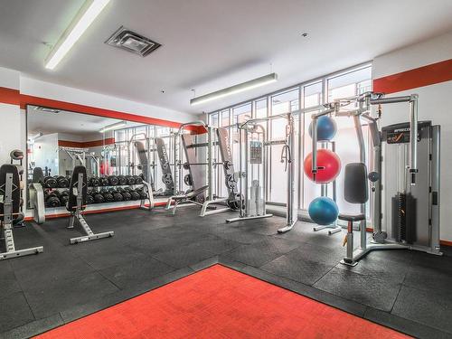 Exercise room - 301-288 Rue Ann, Montréal (Le Sud-Ouest), QC - Indoor Photo Showing Gym Room