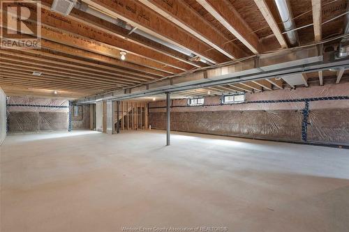 634 Lily Mac Boulevard, Windsor, ON - Indoor Photo Showing Basement