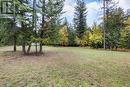 16155 Seymour Road, Crawford Bay, BC  - Outdoor 