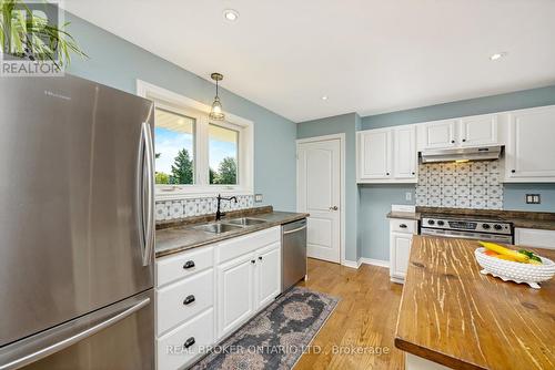 064232 County Rd 3, East Garafraxa, ON - Indoor Photo Showing Kitchen With Double Sink