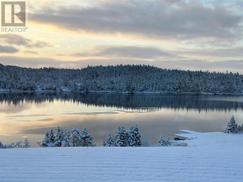 49 Round Pond Road, Portugal Cove-St. Philips, NL - Outdoor With Body Of Water With View