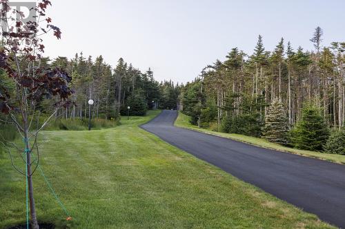 49 Round Pond Road, Portugal Cove-St. Philips, NL - Outdoor With View