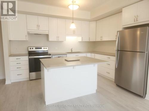 C33 - 142 Foamflower Place, Waterloo, ON - Indoor Photo Showing Kitchen With Upgraded Kitchen