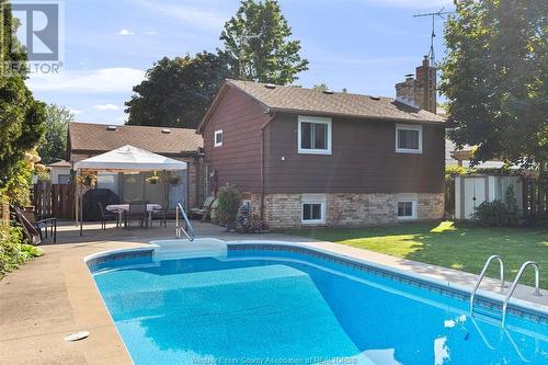 168 Coghill, Kingsville, ON - Outdoor With In Ground Pool With Backyard