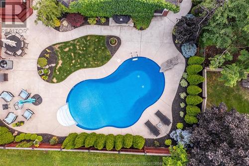 1255 Lakeview, Windsor, ON - Outdoor With In Ground Pool