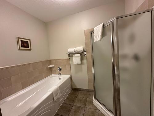 211D - 200 Bighorn Boulevard, Radium Hot Springs, BC - Indoor Photo Showing Bathroom