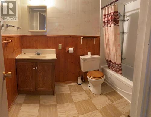 19 Island Pond Drive, Kippens, NL - Indoor Photo Showing Bathroom