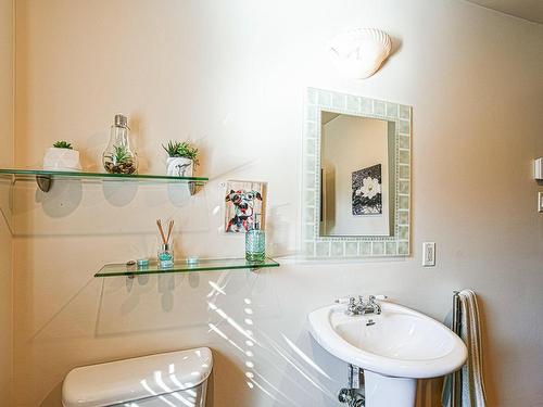 Powder room - 925 Rue Du Boisé, Sainte-Adèle, QC - Indoor Photo Showing Bathroom