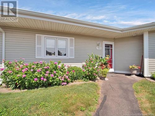 208 Virginia Avenue Unit# 103, Dieppe, NB - Outdoor