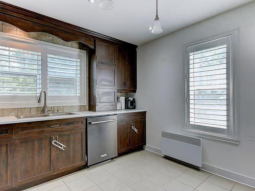 Cuisine - 113 Rue Marchesseault, Farnham, QC - Indoor Photo Showing Kitchen With Double Sink