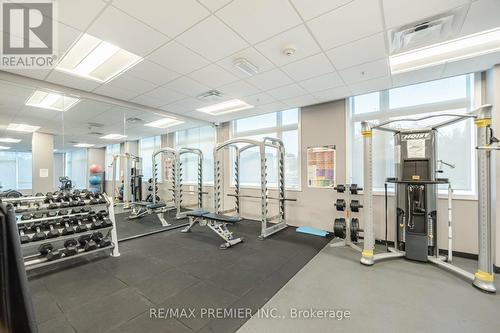 413 - 457 Plains Road E, Burlington (Lasalle), ON - Indoor Photo Showing Gym Room