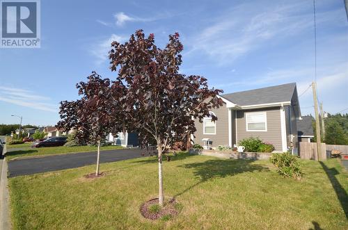 69 Comerford'S Road, Conception Bay South, NL - Outdoor