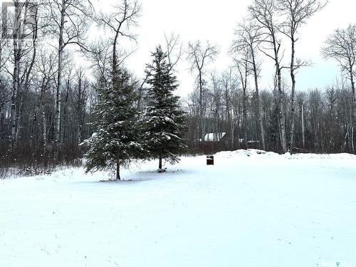 35 Porcupine Drive, Hudson Bay Rm No. 394, SK - Outdoor With View