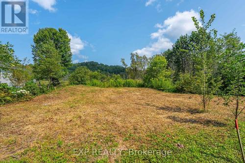 Lt 10 Pl 594, Minden Hills, ON 