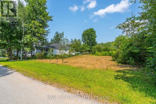 Lt 10 Pl 594, Minden Hills, ON 