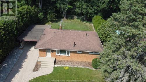 820 Scofield, Windsor, ON - Outdoor