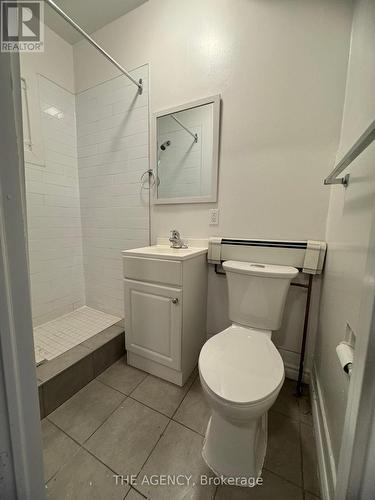 2 - 133 John Street S, Hamilton, ON - Indoor Photo Showing Bathroom