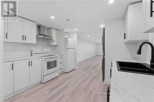 Lower - 233 Central Avenue, Grimsby (Grimsby East), ON - Indoor Photo Showing Kitchen With Double Sink