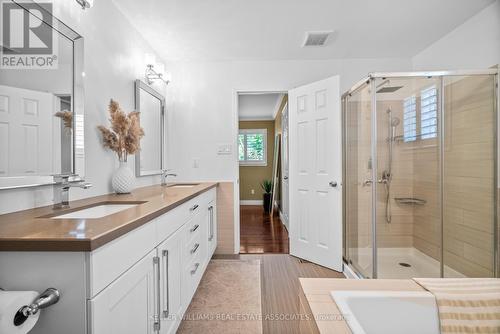 196 Eaton Street, Halton Hills, ON - Indoor Photo Showing Bathroom