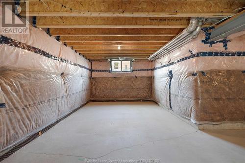 634 Lily Mac Boulevard, Windsor, ON - Indoor Photo Showing Basement