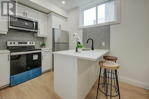 162 Weber Street W, Kitchener, ON - Indoor Photo Showing Kitchen With Upgraded Kitchen