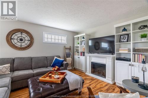 6619 Middle Line, Merlin, ON - Indoor Photo Showing Living Room With Fireplace