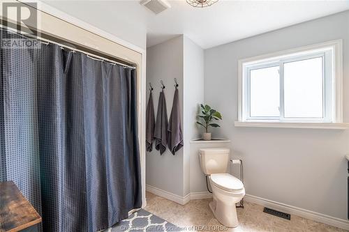 6619 Middle Line, Merlin, ON - Indoor Photo Showing Bathroom