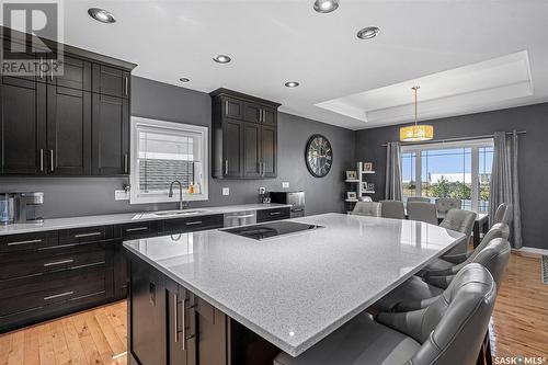 110 Canada Court, Hanley, SK - Indoor Photo Showing Kitchen With Upgraded Kitchen