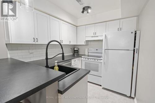 37A Wylie Circle, Halton Hills (Georgetown), ON - Indoor Photo Showing Kitchen With Double Sink