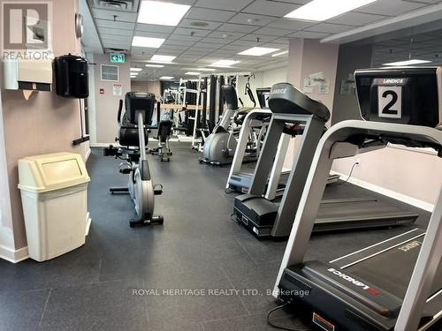 505 - 3231 Eglinton Avenue E, Toronto (Scarborough Village), ON - Indoor Photo Showing Gym Room