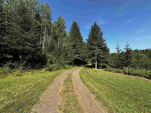 1150 Hwy 595, Kakabeka Falls, ON - Outdoor With View