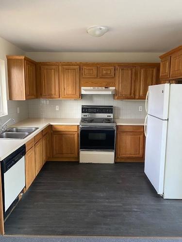 391-393 Cuyler Street, Thunder Bay, ON - Indoor Photo Showing Kitchen With Double Sink