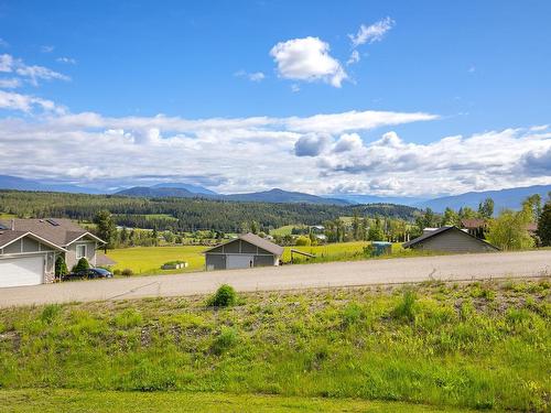 2104 Country Woods Road, South Shuswap, BC - Outdoor With View