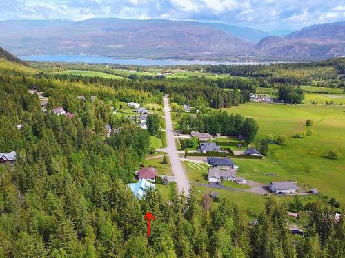 2104 Country Woods Road, South Shuswap, BC - Outdoor With View