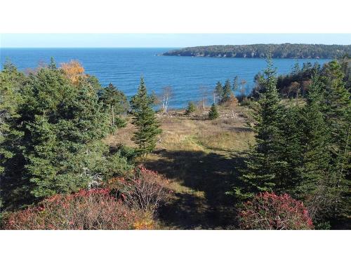 Lot 10-04 Golden Mile Dr, Grand Manan, NB 