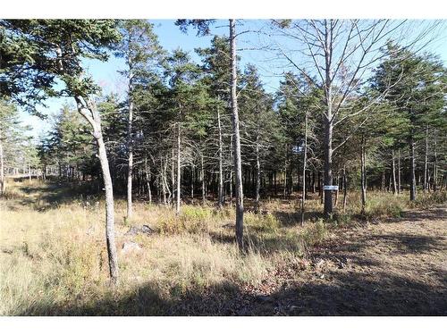 Lot 10-04 Golden Mile Dr, Grand Manan, NB 