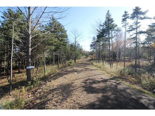 Lot 10-04 Golden Mile Dr, Grand Manan, NB 