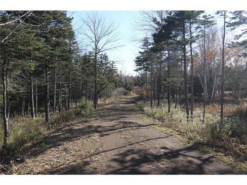 Lot 10-04 Golden Mile Dr, Grand Manan, NB 