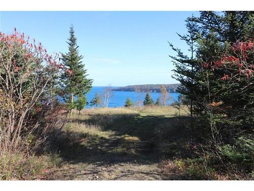 Lot 10-04 Golden Mile Dr, Grand Manan, NB 