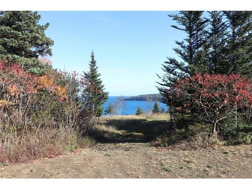 Lot 10-04 Golden Mile Dr, Grand Manan, NB 