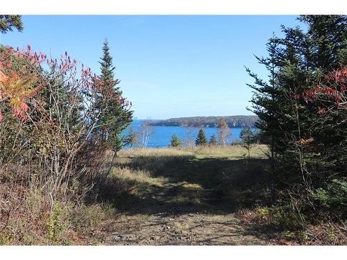 Lot 10-04 Golden Mile Dr, Grand Manan, NB 