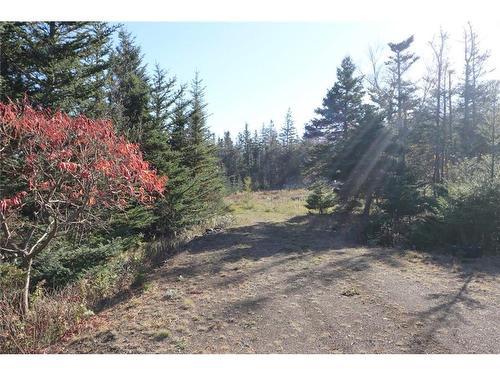 Lot 10-04 Golden Mile Dr, Grand Manan, NB 