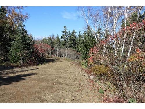 Lot 10-04 Golden Mile Dr, Grand Manan, NB 