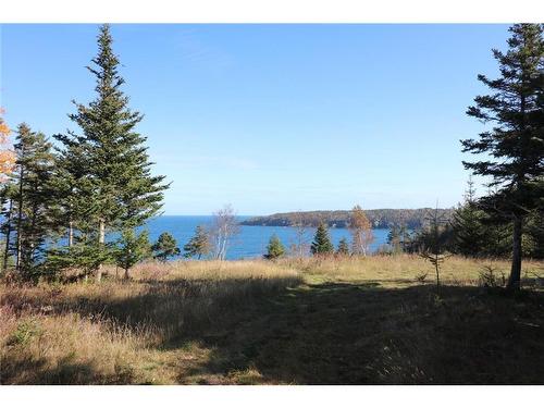 Lot 10-04 Golden Mile Dr, Grand Manan, NB 