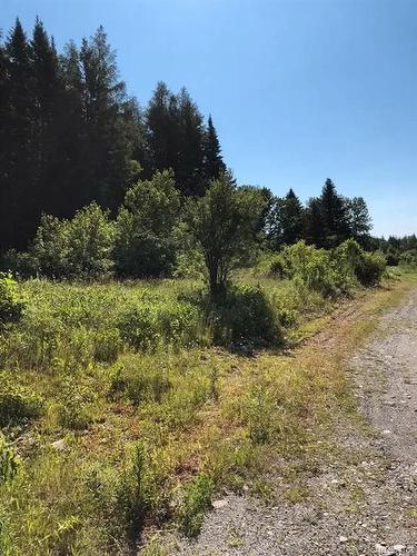 Lot 45 Lynch Rd, Saint-Jacques, NB 