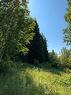 Lot 45 Lynch Rd, Saint-Jacques, NB 