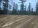 Lot 2016-9 Portage Rd, Nepisiguit Falls, NB 