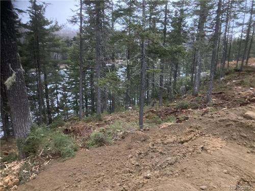 Lot 2016-9 Portage Rd, Nepisiguit Falls, NB 