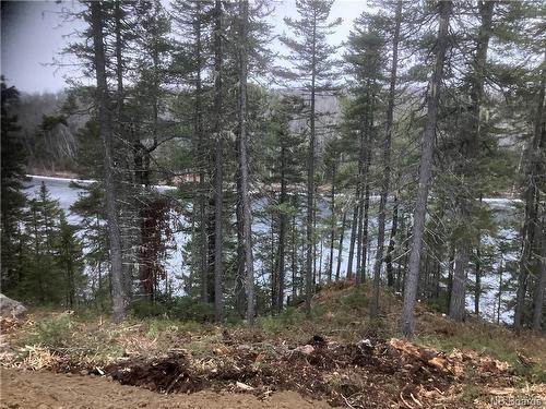 Lot 2016-9 Portage Rd, Nepisiguit Falls, NB 