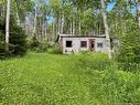 755 Cape Rd, Newburg, NB 